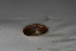  ( - HvdB-10-2010-262)  @13 [ ] Unspecified (default): All Rights Reserved  Unspecified Unspecified