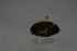  ( - HvdB-10-2010-261)  @12 [ ] Unspecified (default): All Rights Reserved  Unspecified Unspecified