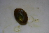  ( - HvdB-10-2010-259)  @11 [ ] Unspecified (default): All Rights Reserved  Unspecified Unspecified