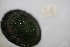  ( - HvdB-10-2010-216)  @12 [ ] Unspecified (default): All Rights Reserved  Unspecified Unspecified