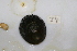  ( - HvdB-10-2010-221)  @12 [ ] Unspecified (default): All Rights Reserved  Unspecified Unspecified