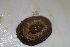  ( - HvdB-10-2010-225)  @13 [ ] Unspecified (default): All Rights Reserved  Unspecified Unspecified