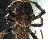 ( - PZNF-0003)  @12 [ ] Unspecified (default): All Rights Reserved  Unspecified Unspecified