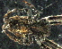  ( - PZNF-0004)  @12 [ ] Unspecified (default): All Rights Reserved  Unspecified Unspecified