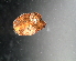  ( - PZNF-0040)  @12 [ ] Unspecified (default): All Rights Reserved  Unspecified Unspecified