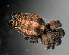 ( - PZNF-0042)  @12 [ ] Unspecified (default): All Rights Reserved  Unspecified Unspecified