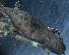  ( - PZNF-0083)  @12 [ ] Unspecified (default): All Rights Reserved  Unspecified Unspecified