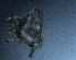  ( - PZNF-0087)  @12 [ ] Unspecified (default): All Rights Reserved  Unspecified Unspecified