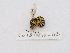  ( - SV-P-381)  @12 [ ] CreativeCommons - Attribution Non-Commercial Share-Alike (2018) Jen and Hilary Bayer Silicon Valley Barcode of Life