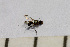  ( - SV-P-128)  @11 [ ] CreativeCommons - Attribution Non-Commercial Share-Alike (2018) Jen and Hilary Bayer Silicon Valley Barcode of Life