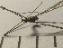  ( - SV-P-337)  @11 [ ] CreativeCommons - Attribution Non-Commercial Share-Alike (2018) Jen and Hilary Bayer Silicon Valley Barcode of Life