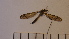  ( - SV-P-11)  @11 [ ] CreativeCommons - Attribution Non-Commercial Share-Alike (2018) Jen and Hilary Bayer Silicon Valley Barcode of Life