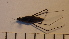  ( - SV-P-72)  @11 [ ] CreativeCommons - Attribution Non-Commercial Share-Alike (2018) Jen and Hilary Bayer Silicon Valley Barcode of Life