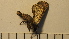 ( - SV-P-318)  @11 [ ] CreativeCommons - Attribution Non-Commercial Share-Alike (2018) Jen and Hilary Bayer Silicon Valley Barcode of Life