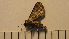  ( - SV-P-318)  @11 [ ] CreativeCommons - Attribution Non-Commercial Share-Alike (2018) Jen and Hilary Bayer Silicon Valley Barcode of Life