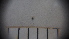  ( - SV-P-247)  @11 [ ] CreativeCommons - Attribution Non-Commercial Share-Alike (2018) Jen and Hilary Bayer Silicon Valley Barcode of Life