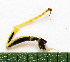  ( - SV-P-381)  @12 [ ] CreativeCommons - Attribution Non-Commercial Share-Alike (2018) Jen and Hilary Bayer Silicon Valley Barcode of Life