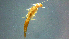  ( - 2021-HWDR-0028)  @11 [ ] CreativeCommons - Attribution Share-Alike (2023) Unspecified Drexel University, Academy of Natural Sciences