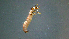  ( - 2021-HWDR-0211)  @11 [ ] CreativeCommons - Attribution Share-Alike (2023) Unspecified Drexel University, Academy of Natural Sciences