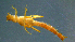  ( - 2021-HWDR-0441)  @11 [ ] CreativeCommons - Attribution Share-Alike (2023) Unspecified Drexel University, Academy of Natural Sciences