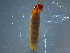  ( - 2021-HWDR-0690)  @11 [ ] CreativeCommons - Attribution Share-Alike (2023) Unspecified Drexel University, Academy of Natural Sciences