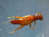  ( - 2021-HWDR-0763)  @11 [ ] CreativeCommons - Attribution Share-Alike (2023) Unspecified Drexel University, Academy of Natural Sciences