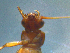  ( - 2021-HWDR-0763)  @11 [ ] CreativeCommons - Attribution Share-Alike (2023) Unspecified Drexel University, Academy of Natural Sciences