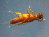  ( - 2021-HWDR-0763)  @11 [ ] CreativeCommons - Attribution Share-Alike (2023) Unspecified Drexel University, Academy of Natural Sciences