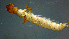  ( - 2021-HWDR-0869)  @11 [ ] CreativeCommons - Attribution Share-Alike (2023) Unspecified Drexel University, Academy of Natural Sciences