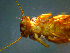  ( - 2022-HWDR-0155)  @11 [ ] CreativeCommons - Attribution Share-Alike (2023) Unspecified Drexel University, Academy of Natural Sciences