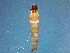  ( - 2022-HWDR-0494)  @11 [ ] CreativeCommons - Attribution Share-Alike (2023) Unspecified Drexel University, Academy of Natural Sciences