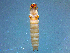  ( - 2022-HWDR-0494)  @11 [ ] CreativeCommons - Attribution Share-Alike (2023) Unspecified Drexel University, Academy of Natural Sciences