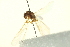  ( - BIOUG02491-F07)  @12 [ ] CreativeCommons - Attribution (2012) CBG Photography Group Centre for Biodiversity Genomics