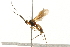  ( - 09-NSWHH-1784)  @14 [ ] CreativeCommons - Attribution (2010) Unspecified Centre for Biodiversity Genomics