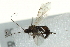  ( - BIOUG01346-C12)  @12 [ ] CreativeCommons - Attribution (2011) CBG Photography Group Centre for Biodiversity Genomics