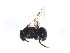 (Lasioglossum lanarium - BIOUG00859-G09)  @12 [ ] CreativeCommons - Attribution (2011) CBG Photography Group Centre for Biodiversity Genomics