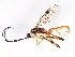  (Gavrana - BIOUG00859-G10)  @13 [ ] CreativeCommons - Attribution (2011) CBG Photography Group Centre for Biodiversity Genomics