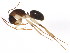  ( - BIOUG00868-E06)  @13 [ ] CreativeCommons - Attribution (2011) CBG Photography Group Centre for Biodiversity Genomics