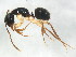  ( - BIOUG00868-H04)  @14 [ ] CreativeCommons - Attribution (2011) CBG Photography Group Centre for Biodiversity Genomics