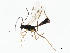  ( - BIOUG00872-G05)  @12 [ ] CreativeCommons - Attribution (2011) CBG Photography Group Centre for Biodiversity Genomics