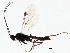  ( - BIOUG00872-G08)  @12 [ ] CreativeCommons - Attribution (2011) CBG Photography Group Centre for Biodiversity Genomics