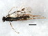  ( - BIOUG00877-D05)  @12 [ ] CreativeCommons - Attribution (2011) CBG Photography Group Centre for Biodiversity Genomics