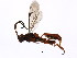  ( - BIOUG00996-G07)  @13 [ ] CreativeCommons - Attribution (2011) CBG Photography Group Centre for Biodiversity Genomics