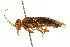  ( - CNCHYM 02057)  @11 [ ] CreativeCommons - Attribution (2011) CNC/CBG Photography Group Centre for Biodiversity Genomics