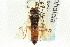  ( - CNCHYM 02081)  @13 [ ] CreativeCommons - Attribution (2011) CNC/CBG Photography Group Centre for Biodiversity Genomics