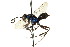  ( - CNCHYM 03589)  @11 [ ] CreativeCommons - Attribution (2011) CNC/CBG Photography Group Centre for Biodiversity Genomics