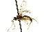  ( - CNCHYM 04225)  @11 [ ] CreativeCommons - Attribution (2011) CNC/CBG Photography Group Centre for Biodiversity Genomics