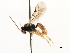  ( - CNCHYM 05000)  @11 [ ] CreativeCommons - Attribution (2011) CNC/CBG Photography Group Centre for Biodiversity Genomics