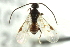  ( - CNCHYM 03470)  @11 [ ] CreativeCommons - Attribution (2011) CNC/CBG Photography Group Centre for Biodiversity Genomics