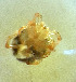  ( - CCDB-44301-H07)  @11 [ ] CreativeCommons - Attribution Share-Alike (2023) Unspecified University of Montenegro, Faculty of Sciences and Mathematics, Department of Biology, Podgorica